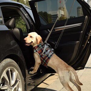 Dog Lift Harness, Grid Pet Chest Support Aid Veterinarian Approved